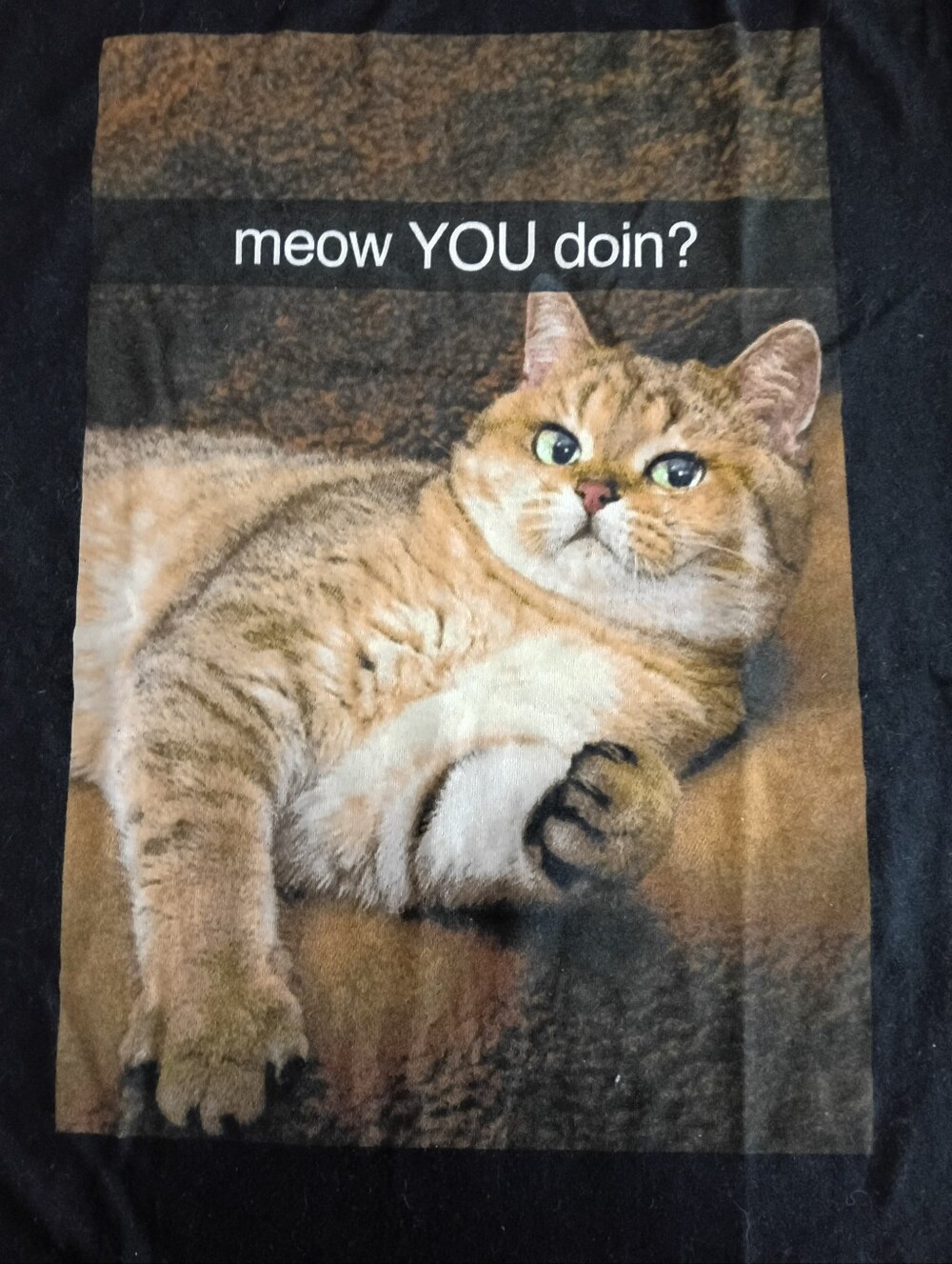 Hello Luv Muffins - Picture 3 of 16